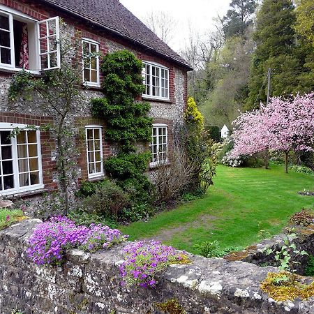 Bridge Cottage 미드허스트 외부 사진