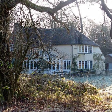 Bridge Cottage 미드허스트 외부 사진